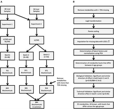 Ontogeny Related Changes in the Pediatric Liver Metabolome